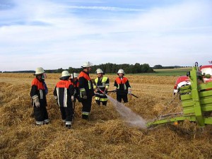 IMG_3879
