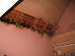 IMG_4565