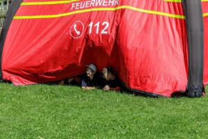 K1600 RHO 2024-09-07 Orientierungsmarsch Jugendfeuerwehr 1691